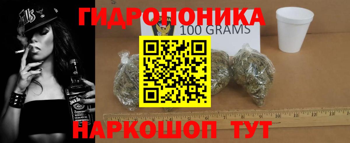 Каннабис OG Kush Миллерово